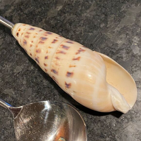 Shell Handle Serving Set Marlin Spike Auger Seashell - Picture 3 of 10